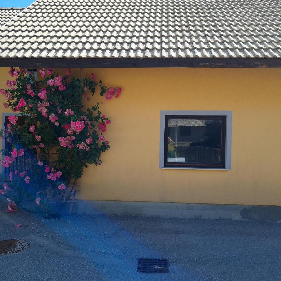 Apartma Nina Bohinj Exterior foto